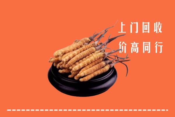 高价求购：南京溧水区回收散虫草
