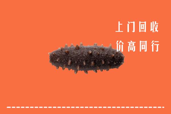 高价求购：南京溧水区回收海参